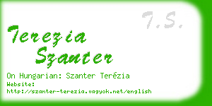 terezia szanter business card
